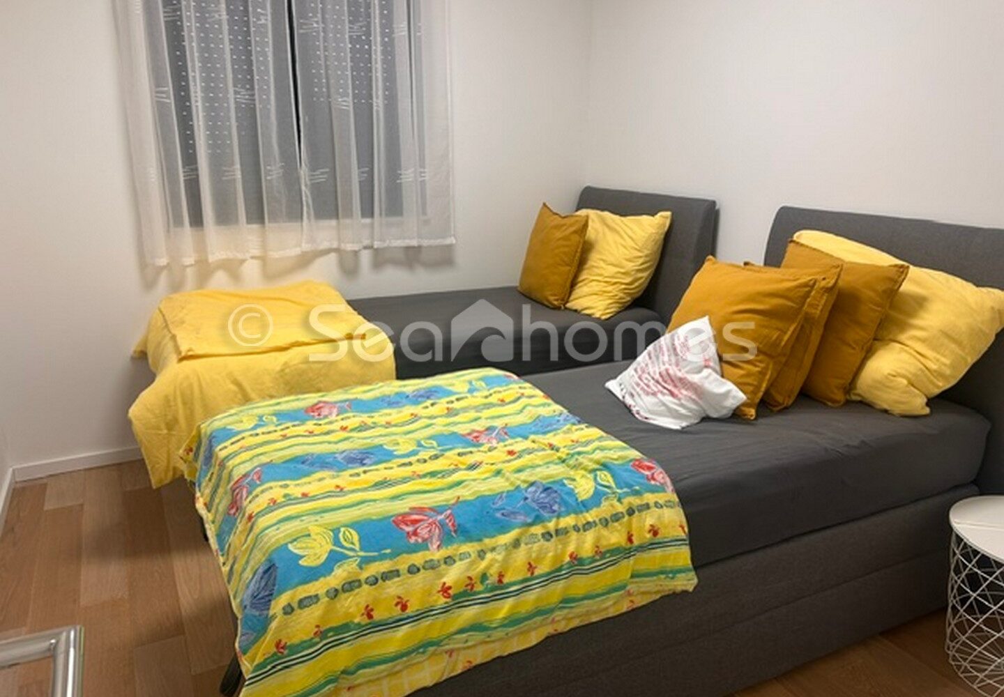 Image5